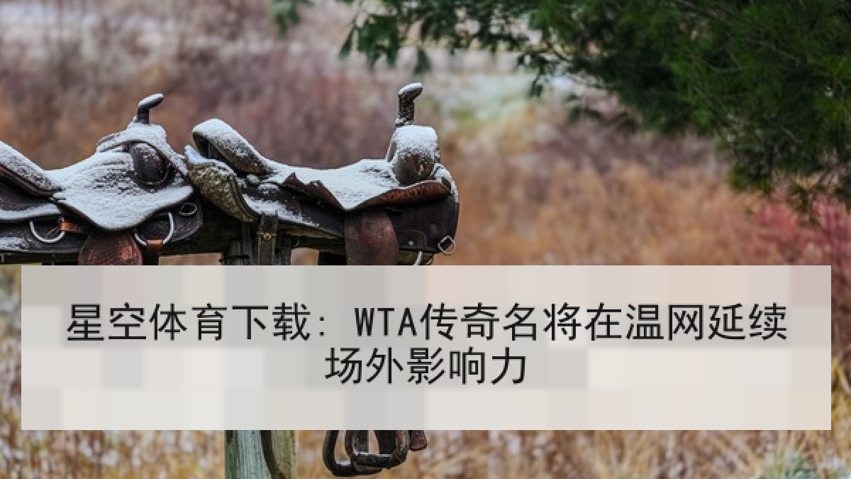星空体育下载: WTA传奇名将在温网延续场外影响力