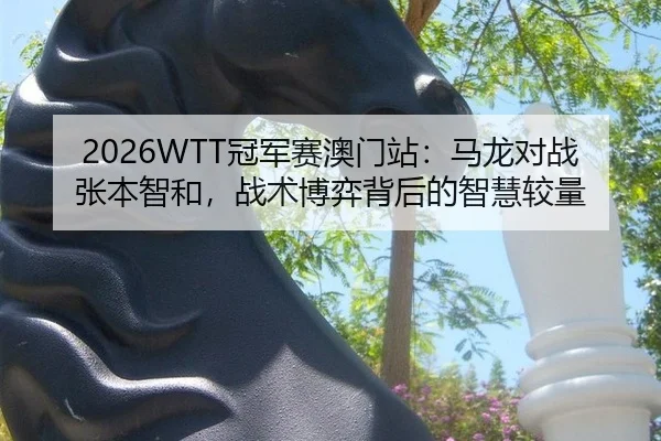 2026WTT冠军赛澳门站：马龙对战张本智和，战术博弈背后的智慧较量